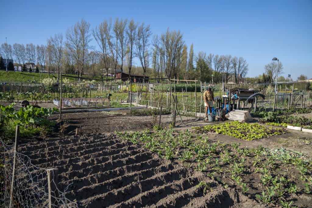 Horta Pedagógica de Guimarães
