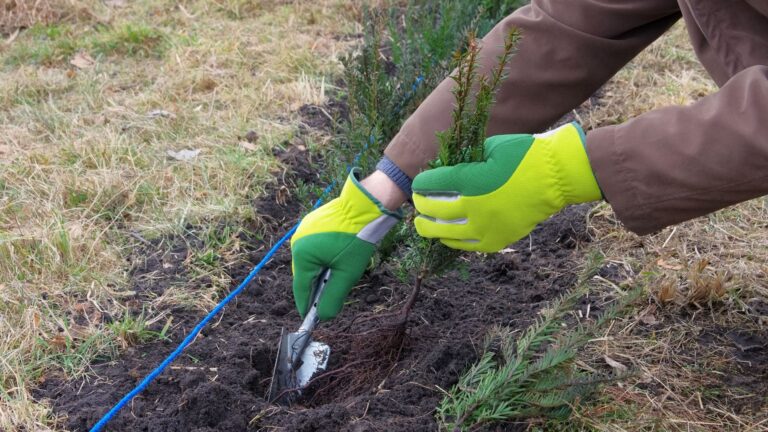 Corredores ecológicos e biodiversidade em Fisteus, Xurés e Montes de Couso