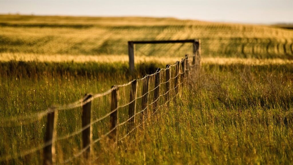 Os polígonos agroflorestais são instrumentos destinados à recuperação e valorização de terras rurais abandonadas ou subutilizadas na Galiza, frequentemente como resultado da fragmentação da propriedade, do envelhecimento da população e da migração para as cidades. Esta realidade dificulta a gestão sustentável do território e compromete o seu potencial produtivo e ambiental. Ao abrigo da Lei n.º 11/2021, estes projetos promovem a agregação de parcelas para criar unidades de exploração viáveis e rentáveis, destinadas a atividades agrícolas, pecuárias e florestais. Podem ser de iniciativa pública ou privada, exigindo o acordo de proprietários que representem mais de 70% da superfície e, regra geral, a existência de abandono em pelo menos metade da área. Os projetos podem incluir a reorganização da propriedade e a melhoria de infraestruturas, podendo os proprietários optar por: Manter ou colocar a sua terra em produção de acordo com as orientações produtivas do projeto Arrendá-la ao agente adjudicatário do polígono Vendê-la ao agente adjudicatário do polígono Trata-se, portanto, de uma medida-chave para dinamizar o meio rural e promover a sustentabilidade.
