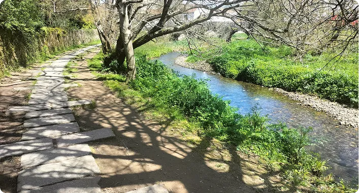 Conectividade Ecológica, Santiago de Compostela