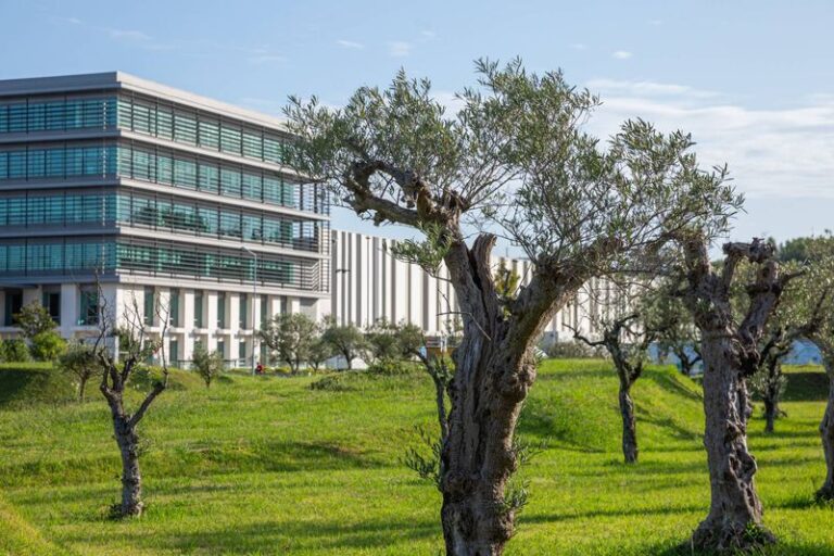 Sonae Campus