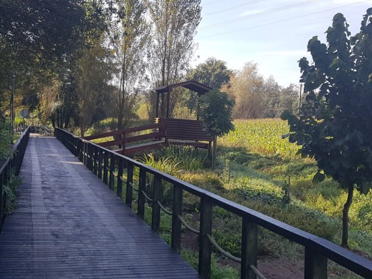 Parque Aventura e Trilho Ecológico da LIPOR