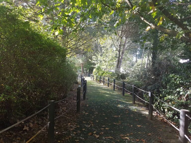 Parque Aventura e Trilho Ecológico da LIPOR