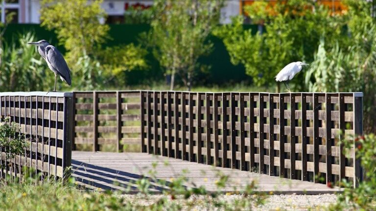 parque ecoloógico urbano viana do castelo
