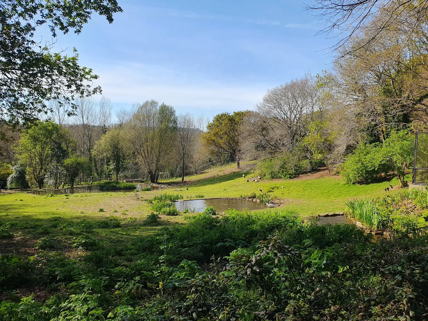 Parque Biológico de Gaia