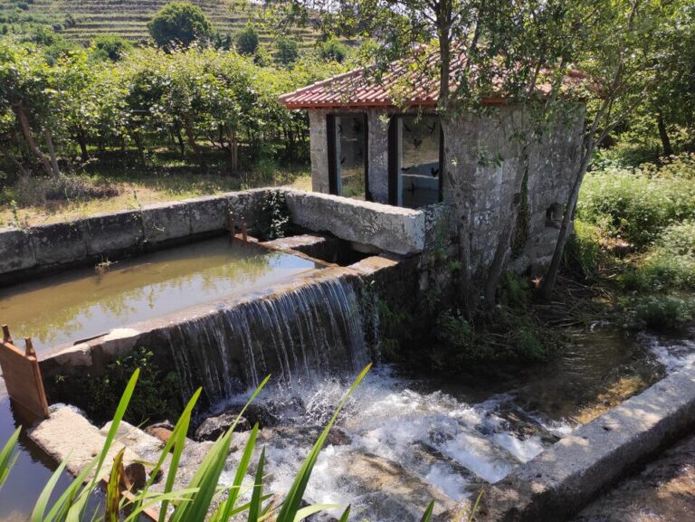 Centro de Interpretação do Rio Mezio