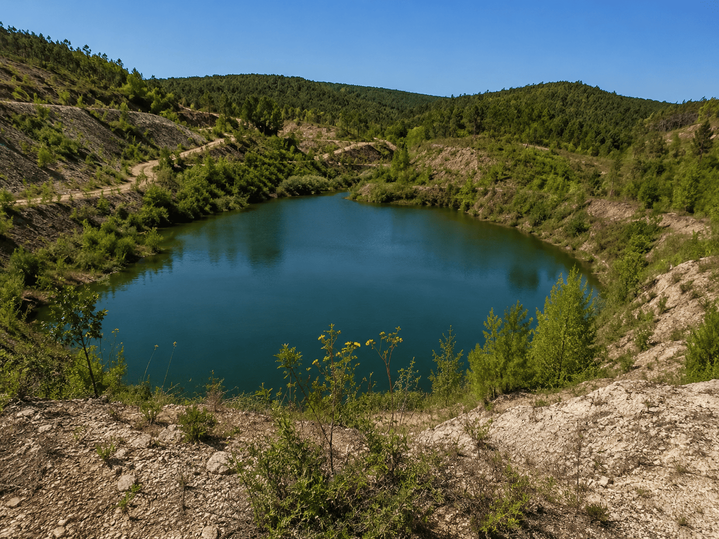Recuperação Ambiental da Área Mineira de Covas
